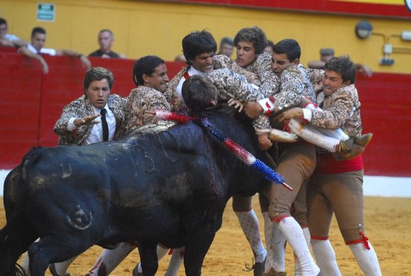 Tarde de Rejoneo y la actuacin de los forcados en la plaza de t