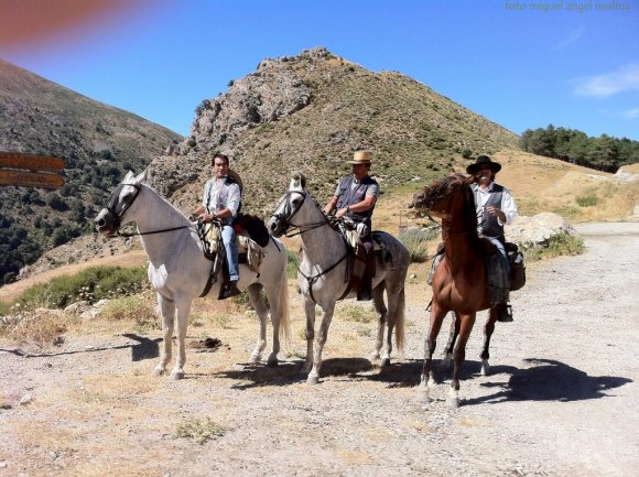 img_0796-copiar-copiar-