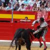 corrida de toros de fandi en granada .