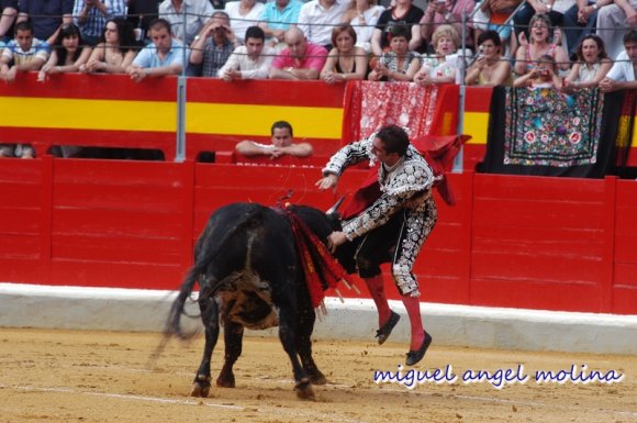 corrida de toros de fandi en granada .