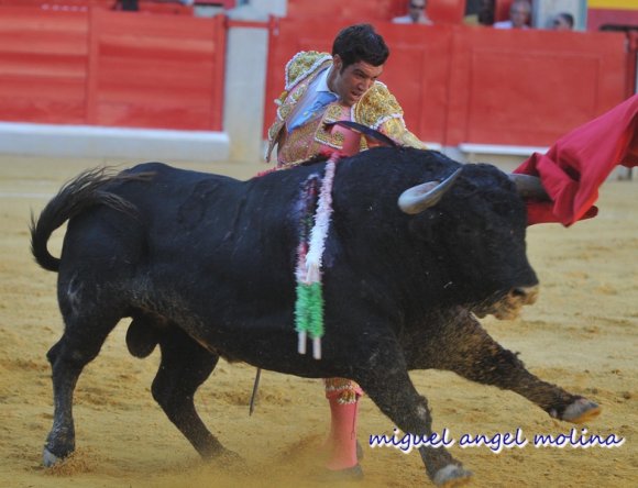feria del corpus de granada 2009. corrida de toros conrafaelillo