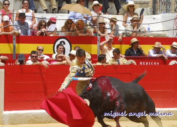 toros de las fiestas del corpus 2007.
en la imagen morante de la