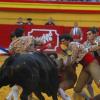 Tarde de Rejoneo y la actuacin de los forcados en la plaza de t