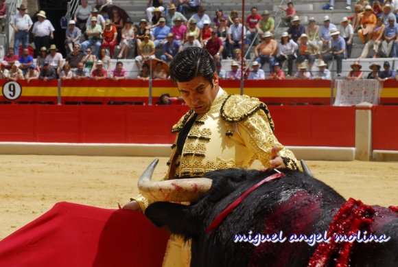 toros de las fiestas del corpus 2007.
en la imagen ortega cano c