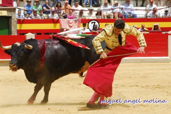 toros de las fiestas del corpus 2007.
en la imagen morante de la