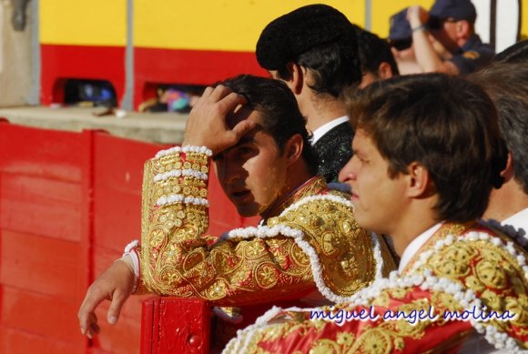 toros de las fiestas del corpus de granada 2007.